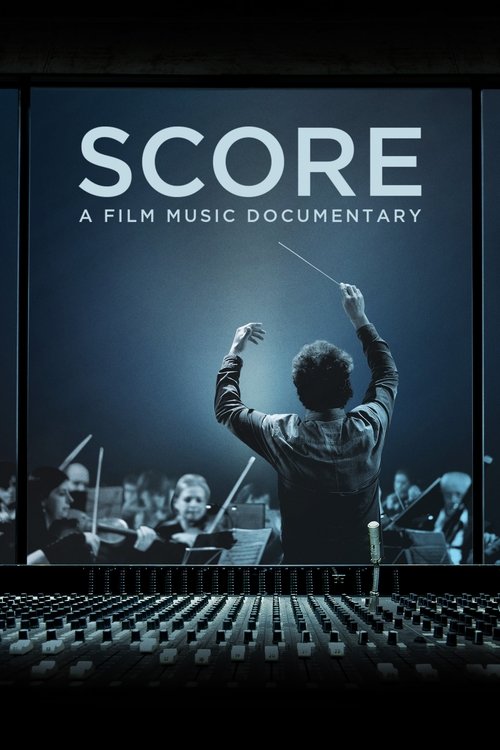The poster features a conductor in a spotlight against a dark blue background, with musicians visible in the foreground. The cool tones and dramatic lighting create an intense, focused atmosphere, emphasizing the film's documentary nature.