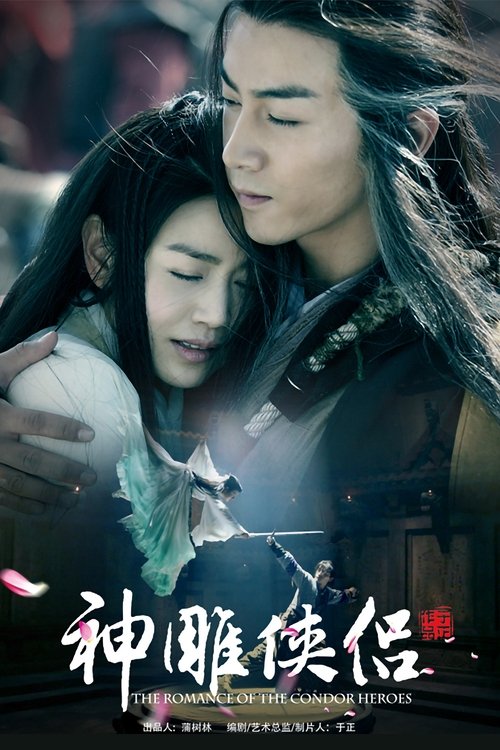 The poster features a tender moment between two characters, one with long dark hair and the other with flowing white hair, set against a dark, atmospheric background. The colors are predominantly dark with hints of white and blue, creating a mysterious and romantic mood. The title "神雕侠侣" is promi...