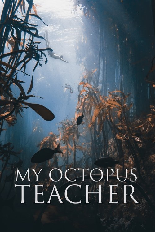 The poster features a mysterious underwater scene with dark, shadowy figures and glowing lights, creating an eerie atmosphere. The title "My Octopus Teacher" is prominently displayed in white text, emphasizing the film's unique perspective.