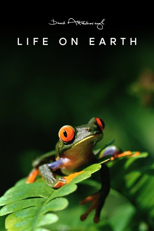 The poster features a vibrant green frog perched on a leaf, symbolizing life on Earth. The dark background contrasts with the bright colors of the frog and leaves, creating a visually striking image. The title "Life on Earth" is prominently displayed at the top, emphasizing the show's theme.
