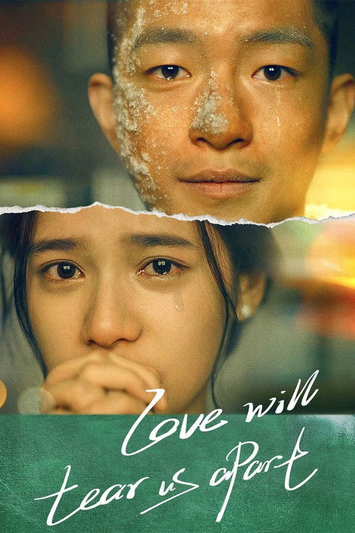 Love Will Tear Us Apart poster