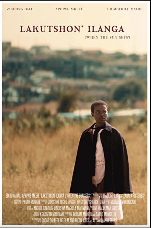 The poster features a man in a black cloak standing against a warm, golden sunset backdrop. The muted earthy tones and soft lighting evoke a sense of melancholy and introspection, capturing the essence of the film's emotional depth.