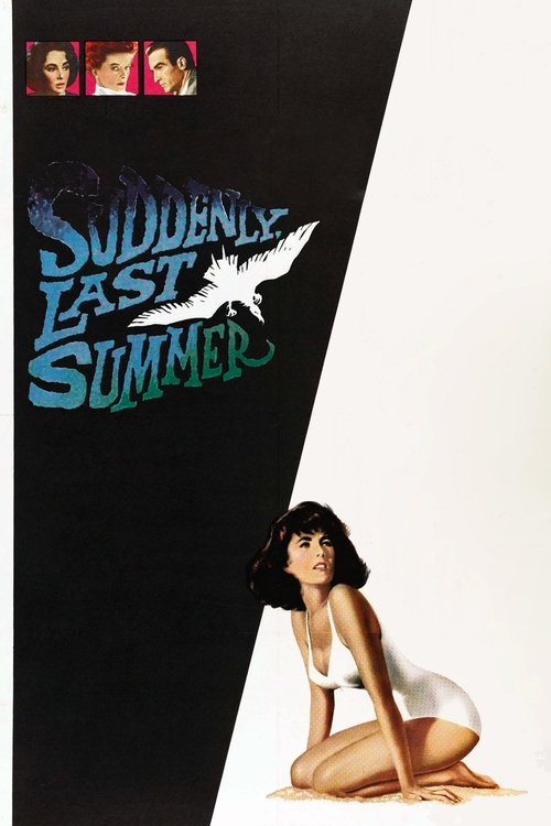 The poster features a striking black and white split design. At the top, three small images of women are displayed. The title "Suddenly, Last Summer" is written in bold, stylized blue letters against the black background. A woman in a white dress sits on the right side, looking out with a contemp...