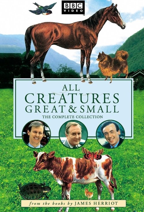 The poster features a majestic brown horse at the top, with a golden retriever and a white cat below. Three portraits of the show's cast are displayed, and the bottom shows a playful cow. The green grassy background and bright colors evoke a cheerful, family-friendly mood.