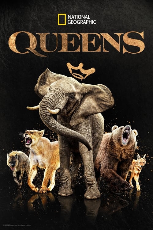 The poster features a majestic elephant with a regal crown, surrounded by a diverse group of animals including bears, monkeys, and a small dog. The dark background with golden text emphasizes the show's title, creating a dramatic and mysterious atmosphere.