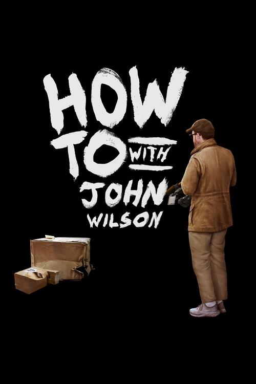 The poster features a man in a brown suit standing against a stark black background, facing away from the viewer. The title "HOW TO WITH JOHN WILSON" is prominently displayed in bold, white, distressed lettering. A cardboard box sits to the left, adding a sense of mystery and readiness. The overa...