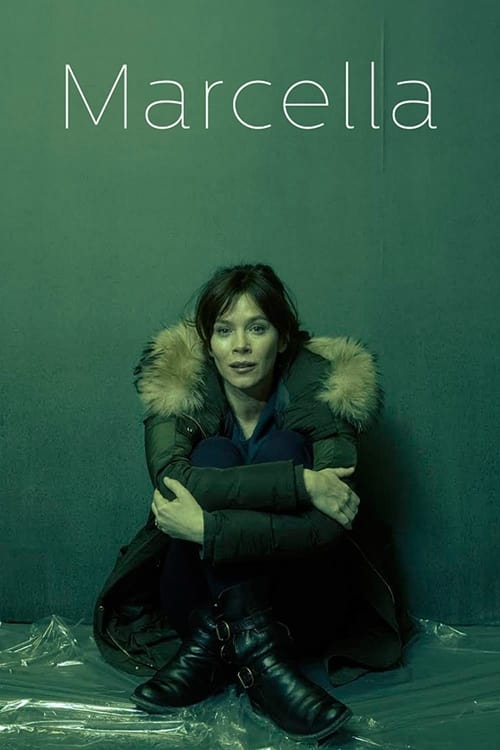 The poster features a woman in a dark coat with fur-lined hood, sitting on a plastic sheet against a muted green background. Her expression is somber, and the overall tone is melancholic and introspective, evoking themes of introspection and emotional depth.