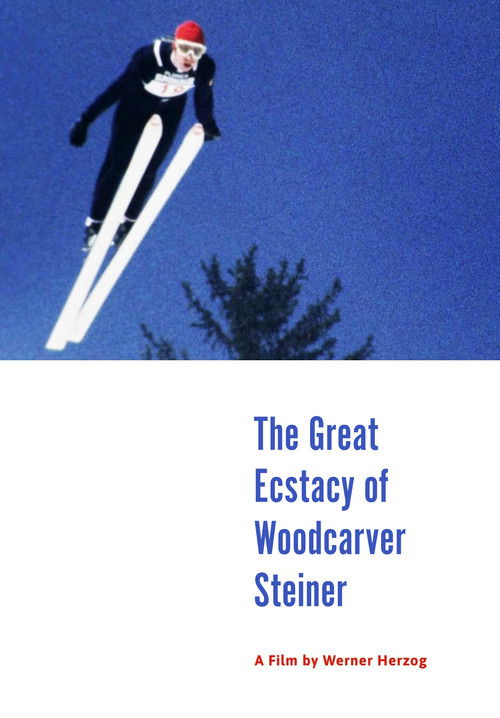 The poster features a skier in a red helmet and black suit soaring against a deep blue sky, with a silhouette of a tree below. The title is elegantly written in blue serif font, evoking a sense of wonder and nostalgia. The overall mood is one of adventure and artistic expression.