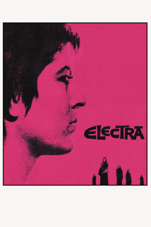 The poster features a striking black silhouette of a man against a vivid pink background, evoking mystery and intrigue. The word "Electra" is boldly displayed in black, suggesting a dramatic and intense narrative. The composition creates a visually compelling and emotionally charged image that hi...