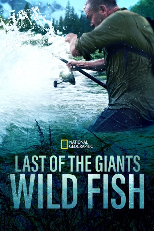 Last of the Giants poster