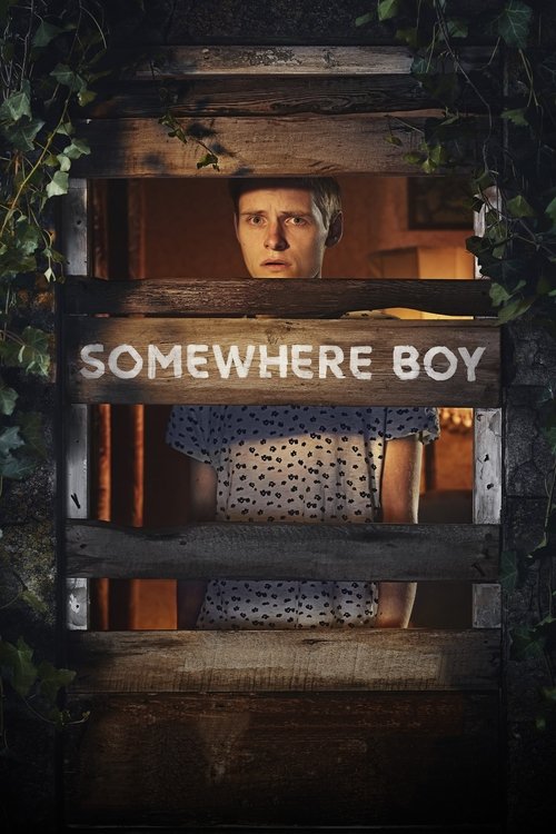 The poster features a woman with short blonde hair peeking through a rustic wooden slat barrier, evoking a sense of mystery and intrigue. The muted, earthy tones of the background suggest a rural or isolated setting, while the warm glow of the light creates an intimate atmosphere. The title "Some...