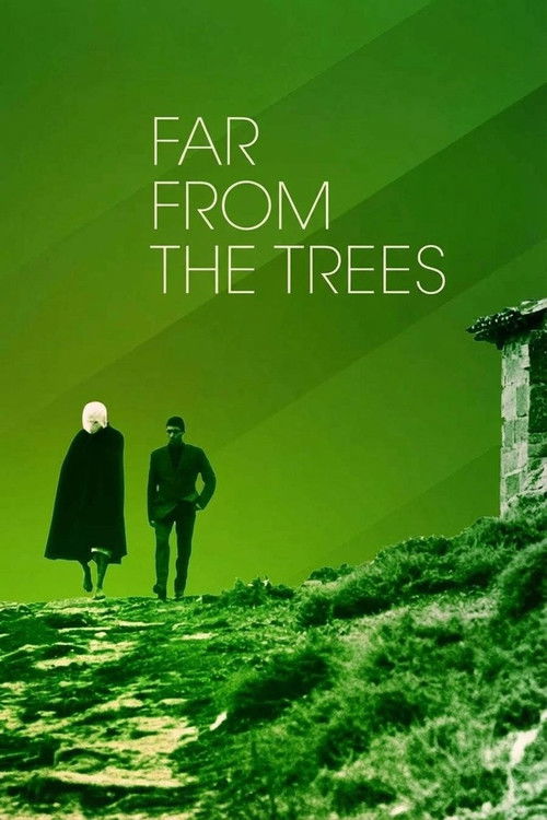 A lone couple walks down a grassy path toward a stone structure, their silhouettes stark against the vibrant green backdrop. The poster evokes a sense of solitude and introspection, with the muted tones and natural setting suggesting a quiet, contemplative journey.