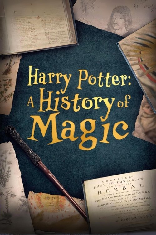 This poster features a dark blue background with golden text, evoking a magical atmosphere. Scattered around are aged parchment pages and a quill pen, suggesting a historical or scholarly theme. The overall mood is mysterious and timeless, hinting at a rich narrative about the history of magic.