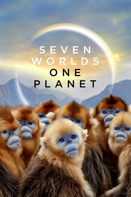 The poster features a group of golden monkeys with expressive faces, set against a serene sky with a large crescent moon. The warm tones of their fur blend harmoniously with the soft blues and greens of the background, evoking a sense of unity and natural beauty.