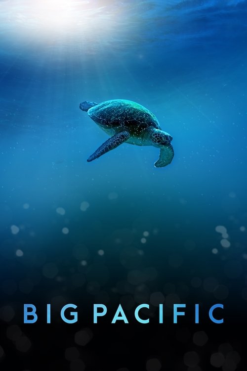 The poster features a serene underwater scene with a turtle swimming gracefully against a deep blue backdrop. Sunlight filters through the surface, creating a dreamy, ethereal mood. The title "BIG PACIFIC" is prominently displayed at the bottom in bold, light blue letters.