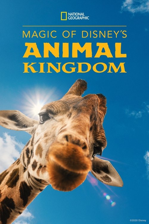 The poster features a giraffe's face against a vibrant blue sky with clouds, evoking a magical and adventurous mood. The National Geographic logo at the top indicates its educational purpose.