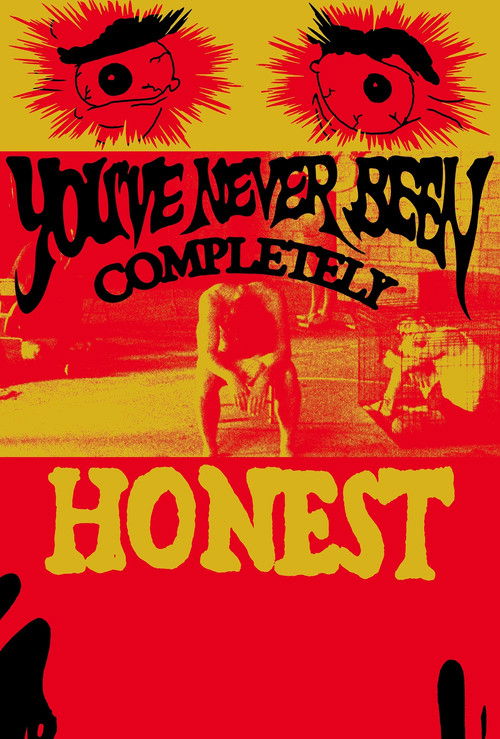 You've Never Been Completely Honest poster