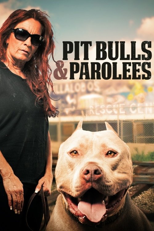 This poster features a muscular woman in sunglasses and a pit bull dog with its tongue out, set against a backdrop of a city skyline. The bold title "Pit Bulls and Parolees" dominates the image, evoking a mix of strength and humor.