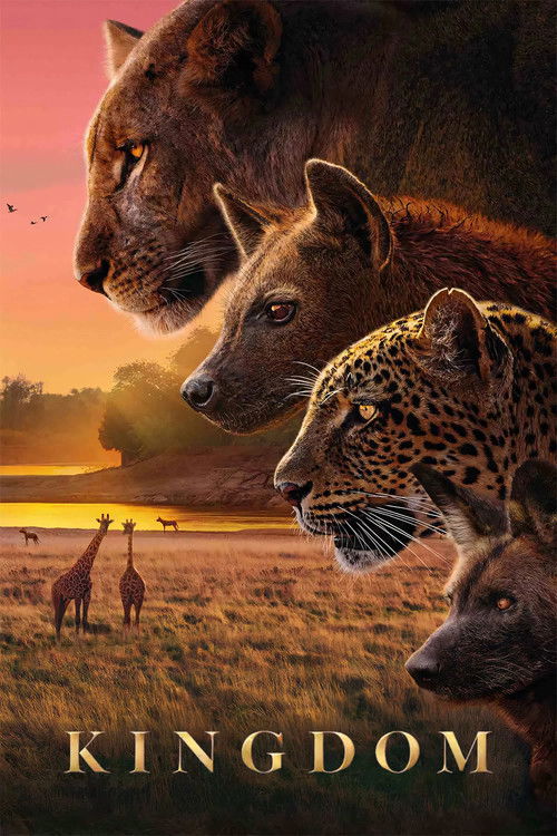 The poster features a dramatic sunset with warm orange and pink hues, creating a serene yet powerful atmosphere. In the foreground, three majestic animals—a lion, a leopard, and a wolf—are depicted in profile, their intense gazes directed forward. In the background, giraffes stand tall against th...