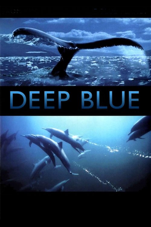 The poster features a dramatic underwater scene with dolphins swimming gracefully in deep blue waters, evoking a sense of mystery and tranquility. The title "Deep Blue" is prominently displayed in bold, white letters against a dark background, emphasizing the film's underwater setting.