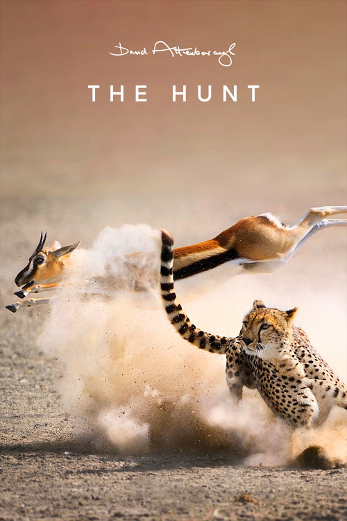 The poster captures a dramatic moment of a leopard and a gazelle in mid-action, kicking up dust as they run across a sandy landscape. The warm, golden hues of the desert ground and the leopard's spotted fur create a vivid and intense atmosphere, emphasizing the wild and untamed nature of the scene.