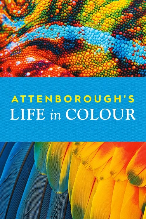 This vibrant poster captures the essence of "Attenborough's Life in Colour" with its dynamic, colorful imagery. The scene features a lively, animated composition that suggests a lively and energetic atmosphere. The vivid hues of red, blue, and yellow create a sense of movement and energy, reflect...