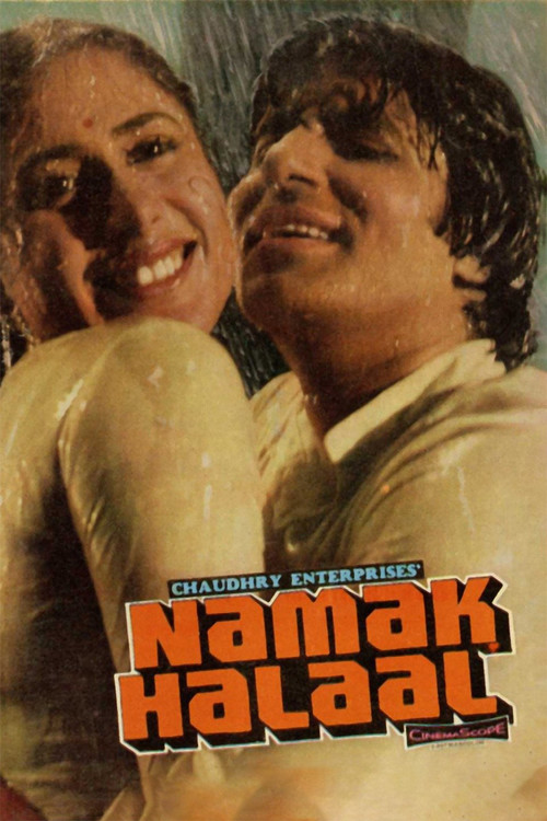 This movie poster features two smiling men in a warm, golden-toned setting, evoking a nostalgic and romantic atmosphere. The bold, orange title "Namak Halaal" stands out against the soft background, suggesting a heartfelt and emotional narrative.
