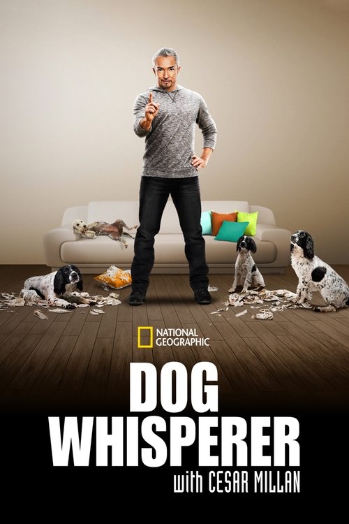 The poster features a man in a gray sweater and black pants standing confidently in a dimly lit room with a white couch and colorful toys scattered around. The National Geographic logo is visible at the top, and the title "Dog Whisperer" appears prominently at the bottom. The mood is mysterious a...