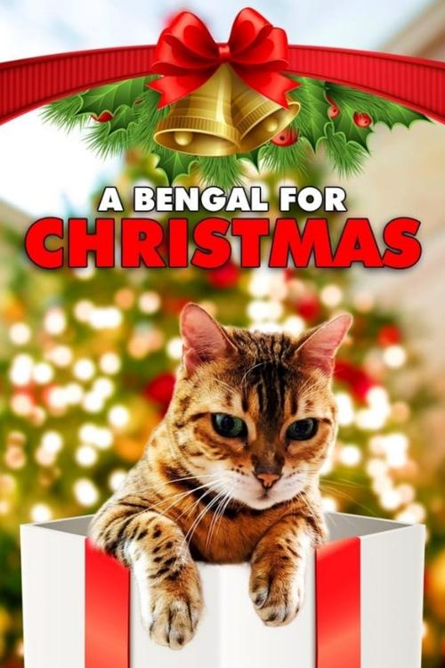 A Bengal for Christmas poster