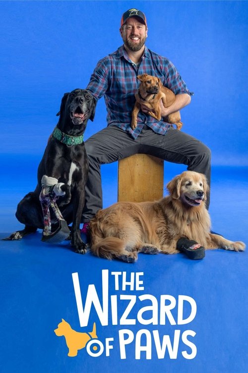 The poster features a man in a plaid shirt and jeans sitting on a wooden box, surrounded by three dogs—a black Labrador, a golden retriever, and a smaller golden mix—against a vibrant blue background. The playful and cheerful mood is emphasized by the bright colors and the title "The Wizard of Pa...