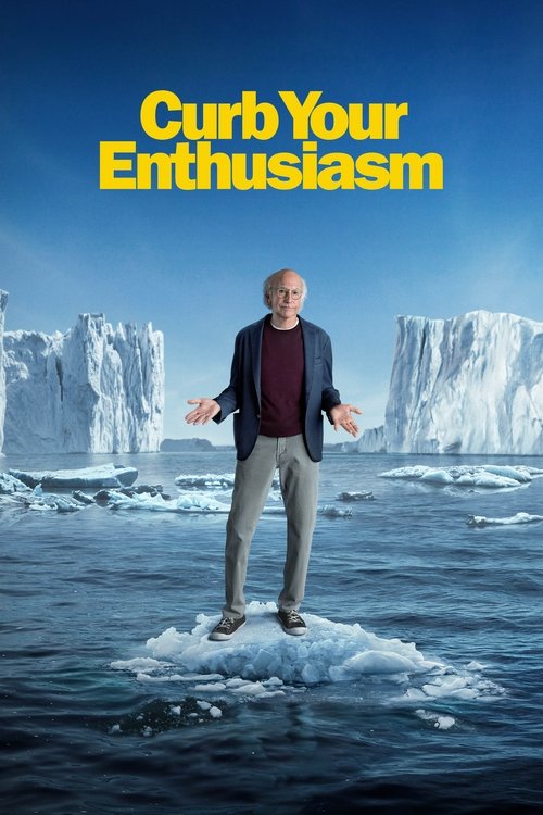 The poster features a man standing on an iceberg in a vast, icy ocean. The bright yellow text "Curb Your Enthusiasm" dominates the top. The mood is humorous and comedic, with the man's exaggerated pose and the dramatic ice scene.