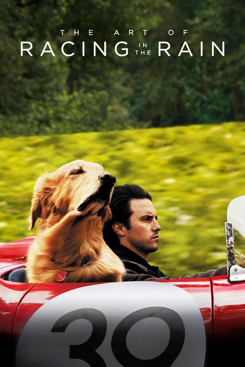 The poster features a man and a golden retriever in a red convertible, driving through a vibrant green landscape. The man looks focused, while the dog appears calm and attentive. The red car and lush greenery create a dynamic and adventurous atmosphere, evoking themes of freedom and connection.