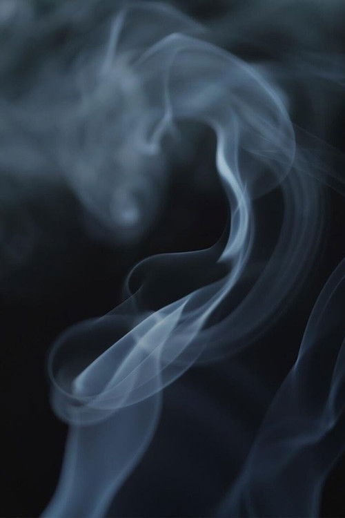 The poster features a mysterious, swirling cloud of white smoke against a dark background, evoking a sense of mystery and intrigue. The colors are muted, with shades of gray and black dominating the scene. The mood is mysterious and atmospheric, suggesting a thriller or suspenseful narrative.