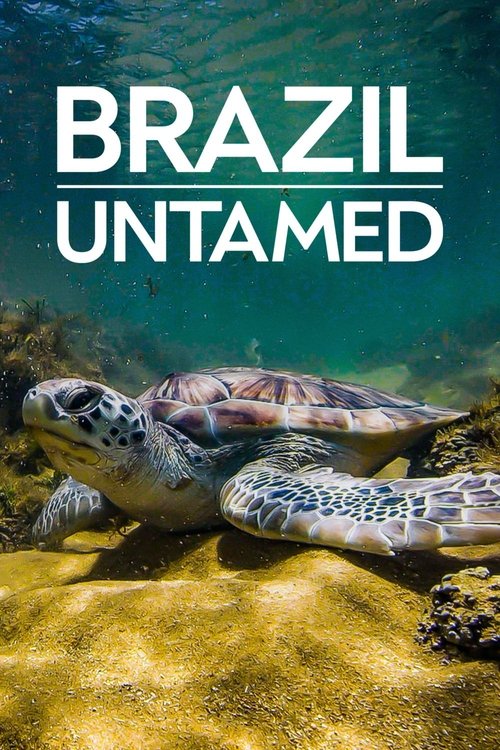 The poster features a serene underwater scene with a sea turtle swimming gracefully over sandy, sunlit ocean floor. The bold white text "BRAZIL UNTAMED" dominates the top against a gradient blue background. The mood is tranquil and adventurous, evoking the beauty of Brazil's natural landscapes.