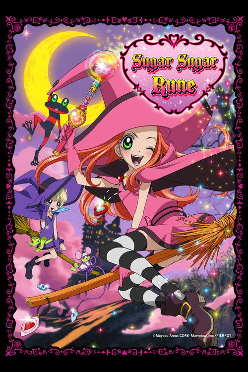 The poster features a cheerful witch with long hair and a pink hat, flying through a magical, starry sky. She's surrounded by whimsical characters like a flying bird and a small creature, all in vibrant colors. The mood is playful and enchanting, capturing the essence of a fun, animated TV show.