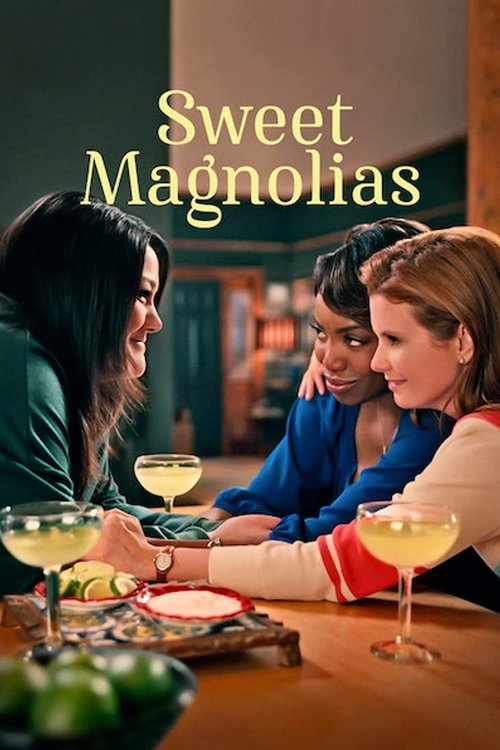 The poster features three women seated at a wooden table, sharing wine glasses and enjoying a cozy evening. Warm lighting and soft colors evoke a nostalgic, intimate atmosphere. The title "Sweet Magnolias" is elegantly displayed in the background, hinting at a romantic or family-oriented narrative.