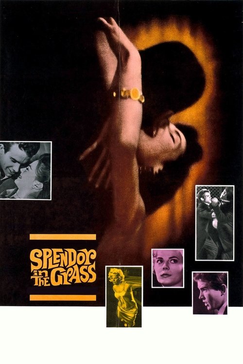 The poster features a dramatic, shadowy figure in a golden halo, evoking mystery and allure. Surrounding the central image are smaller, moody portraits of people in various poses, hinting at the film's themes of hidden identities and dramatic storytelling. The dark background with warm lighting c...