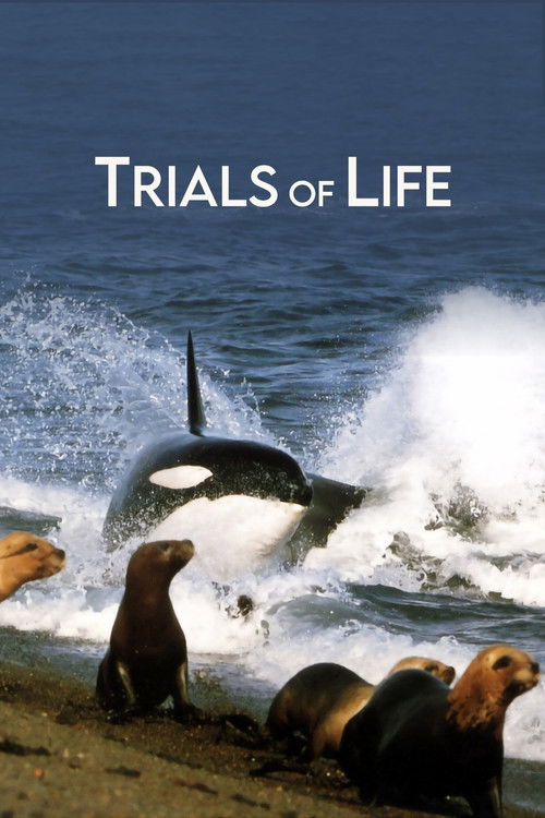 The poster features a dramatic scene of a killer whale crashing against the ocean, with seals resting on the shore below. The deep blue water and white waves create a powerful, natural backdrop, while the bold white text "TRIALS OF LIFE" anchors the composition. The mood is intense yet serene, ca...