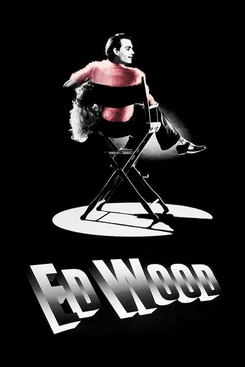 The poster features a muscular man in a red shirt and black pants, sitting atop a black chair against a stark black background. The bold, white text "Ed Wood" dominates the bottom, evoking a gritty, noir atmosphere.