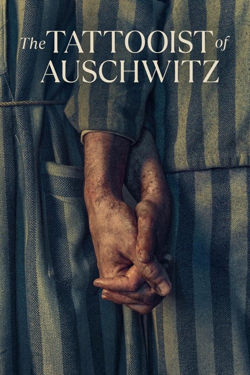 The poster features a close-up of hands intertwined, rendered in muted earth tones against a striped fabric background. The somber, almost haunting mood evokes the grim reality of the Holocaust, while the title "The Tattooist of Auschwitz" hints at the dark history behind the image.