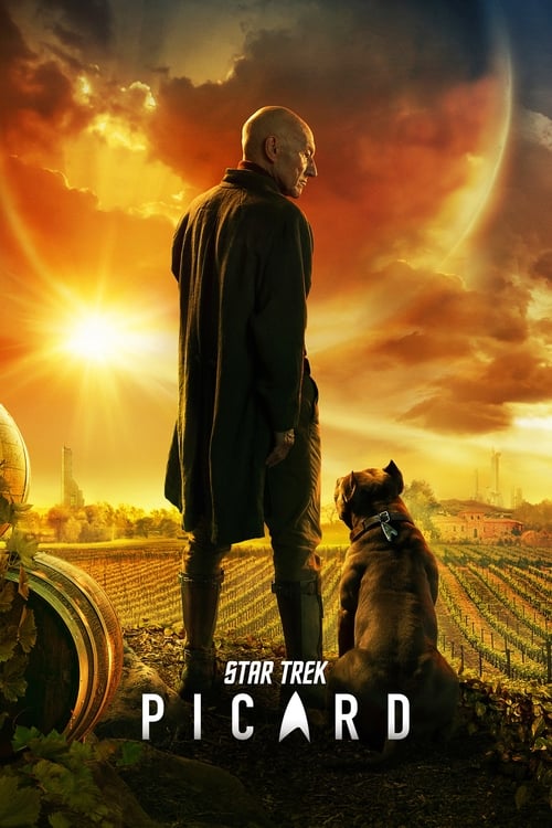 The poster features a lone figure in a dark coat standing against a dramatic sunset sky, with a small dog beside him. The warm hues of orange and gold evoke a sense of mystery and adventure, while the title "Star Trek: Picard" anchors the image in its iconic sci-fi setting.