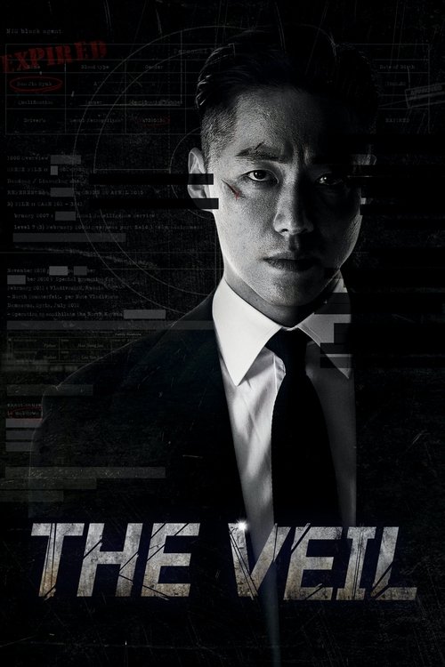 The poster features a man in a dark suit against a backdrop of digital data and code, evoking a mysterious and high-stakes atmosphere. The stark black-and-white contrast emphasizes the film's thriller genre, while the bold title "THE VEIL" anchors the image with a sense of intrigue and suspense.
