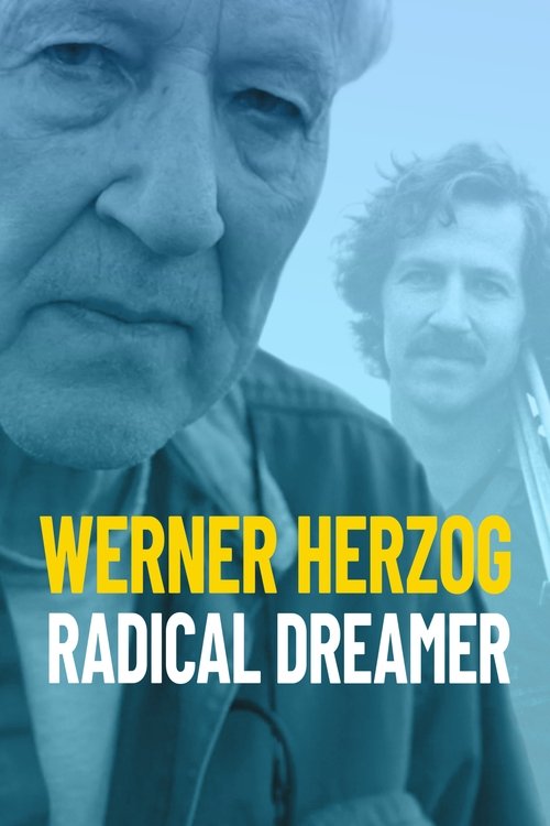 The poster features Werner Herzog's intense, weathered face in the foreground, with a blurred, dreamlike figure behind him. The cool blue tones and stark white text convey a sense of mystery and cinematic drama.