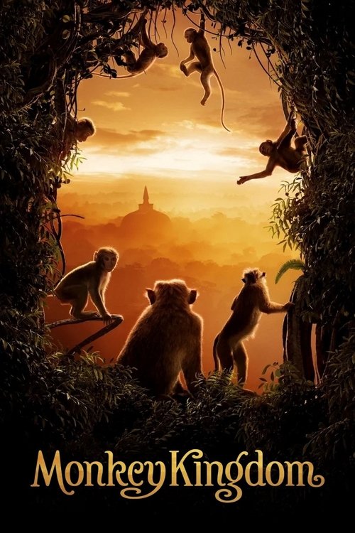 The poster features silhouetted monkeys in a lush, jungle-like setting against a warm sunset. The mood is mysterious and adventurous, inviting viewers to explore the world of monkeys.