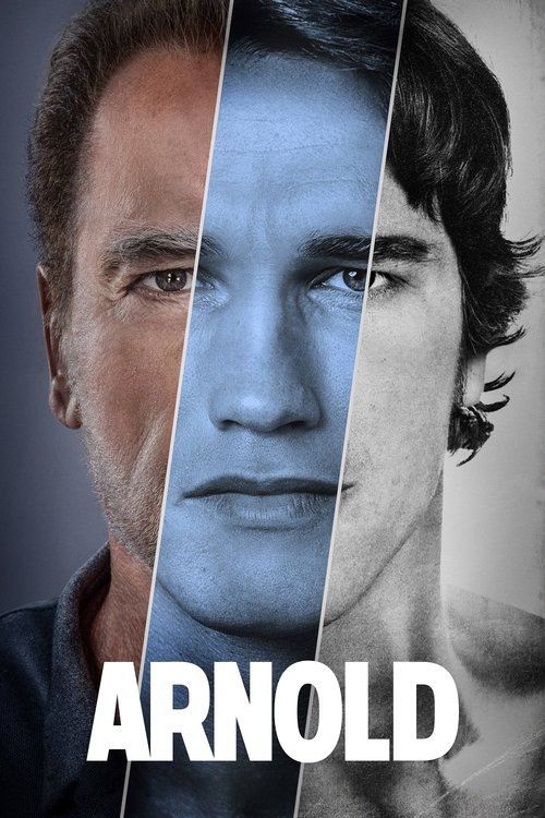 The poster features a split portrait of Arnold Schwarzenegger, divided into three distinct colors—blonde, blue, and black—creating a dramatic, monochromatic effect. The bold, white text "ARNOLD" anchors the image, evoking a sense of mystery and intrigue.