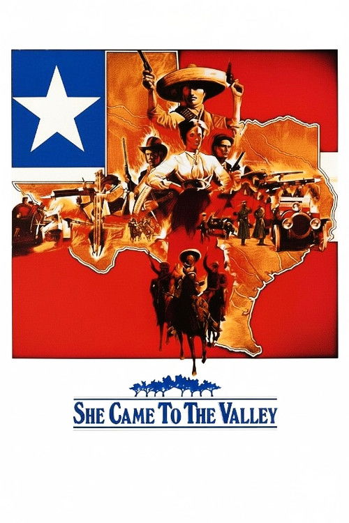 She Came To The Valley poster