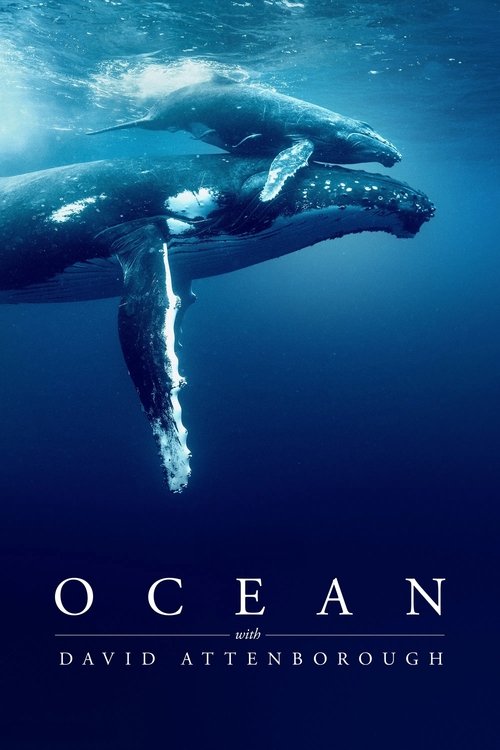 The poster features a majestic humpback whale gliding through deep blue ocean water, evoking a sense of awe and tranquility. The deep navy blue background enhances the serene mood, while the white text of the title and author's name stands out against the rich, calming hues.