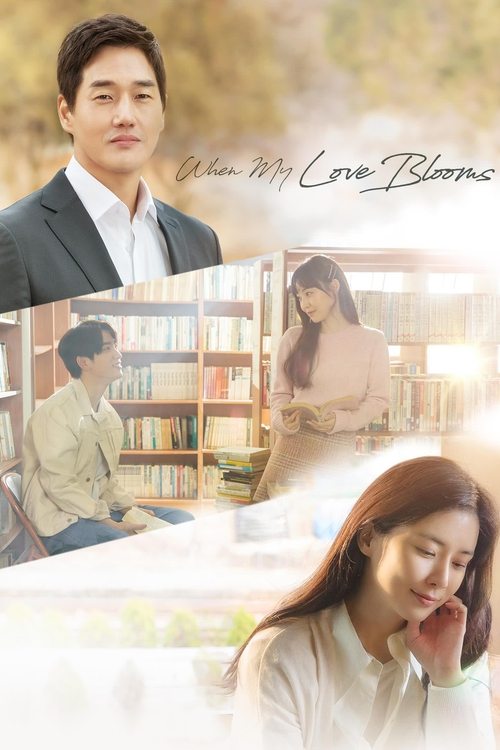 This poster features a romantic scene with a man in a suit and a woman in a white dress, surrounded by bookshelves and soft sunlight. The warm colors and gentle expressions convey a cozy, nostalgic mood, suggesting a story about love and connection.