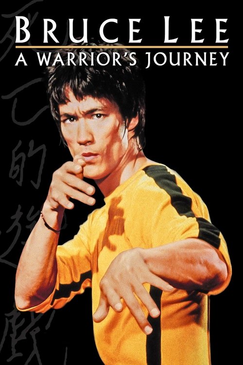 The poster features Bruce Lee in a dynamic pose, wearing a yellow and black shirt against a dark background. His intense expression and confident stance convey a sense of determination and strength. The bold title and his signature style evoke the classic martial arts hero archetype.