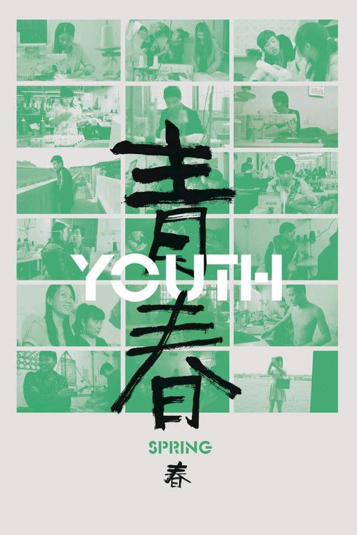 The poster features a collage of green-toned photographs of young people in various settings, evoking a nostalgic and vibrant atmosphere. The bold Chinese characters "青春" (Spring Youth) dominate the center, with "YOUTH" written in white above them. The overall design suggests themes of youth, fre...